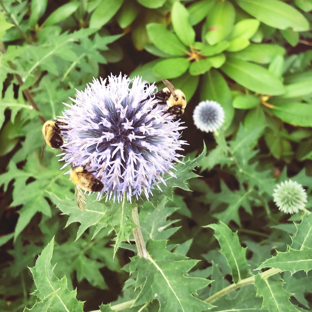 Meet your Posher, Katrina